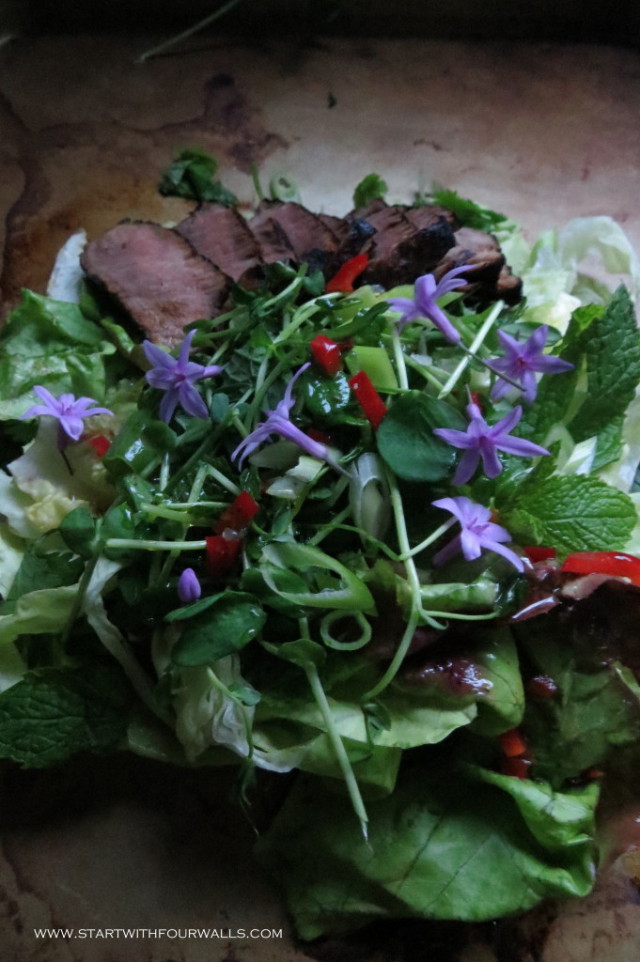 Thai Beef Salad startwithfourwalls.com