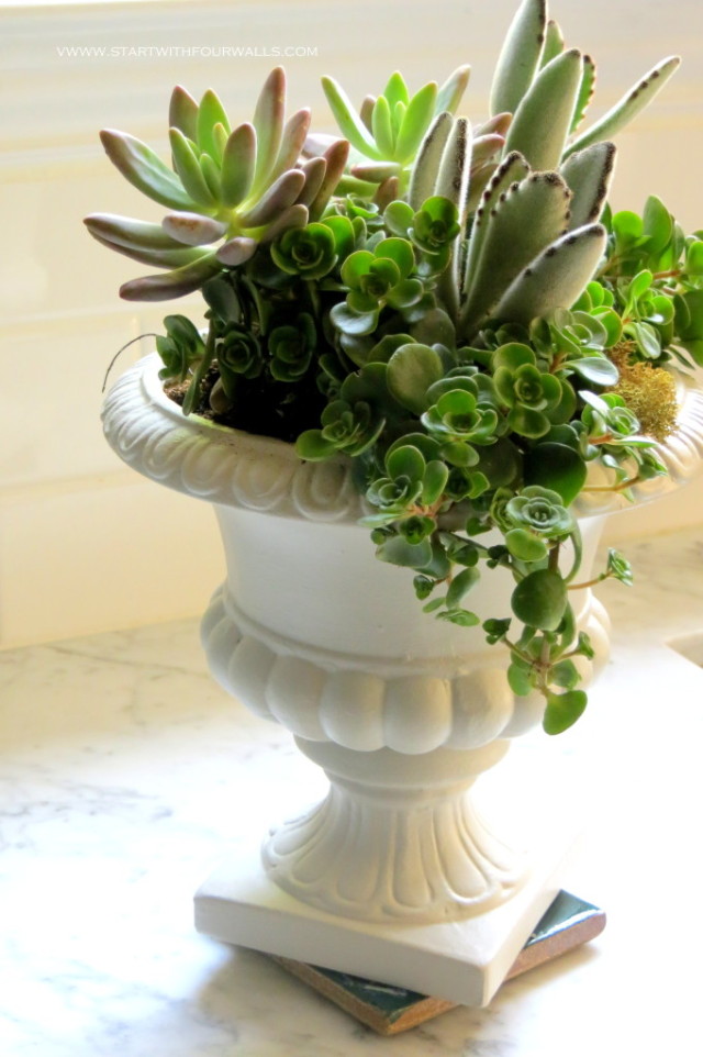 DIY Succulent Urn startwithfourwalls.com