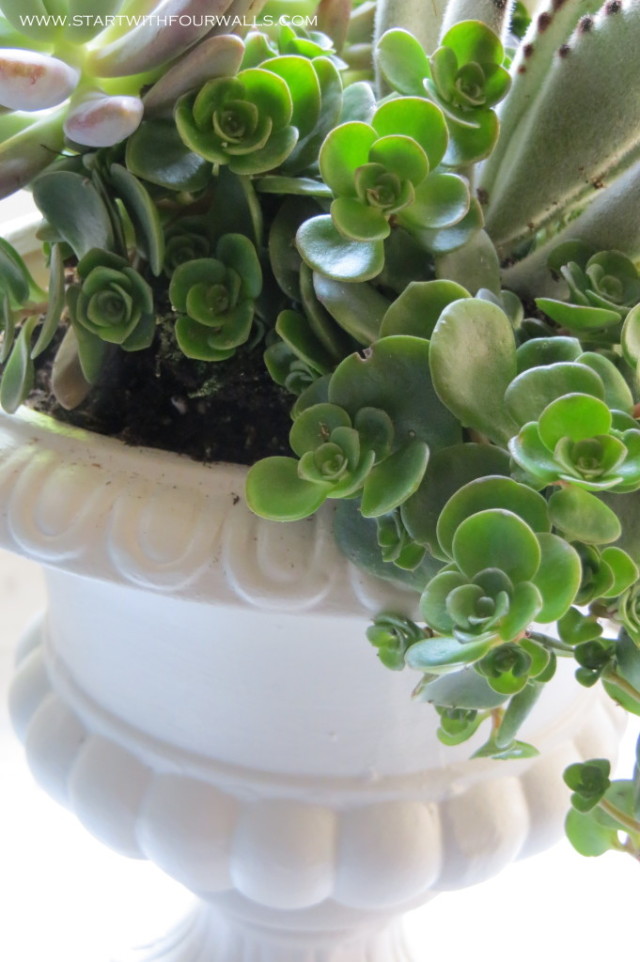 DIY Succulent Urn startwithfourwalls.com