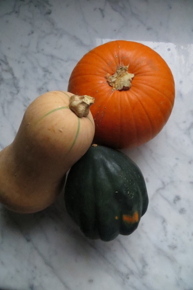 Butternut, acorn, and pumpkin Squashes startwithfourwalls.com